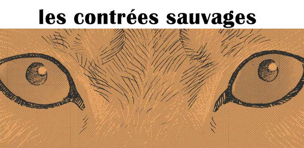 Une du premier article sur les contrées sauvages réalisé par Jiro Taniguchi